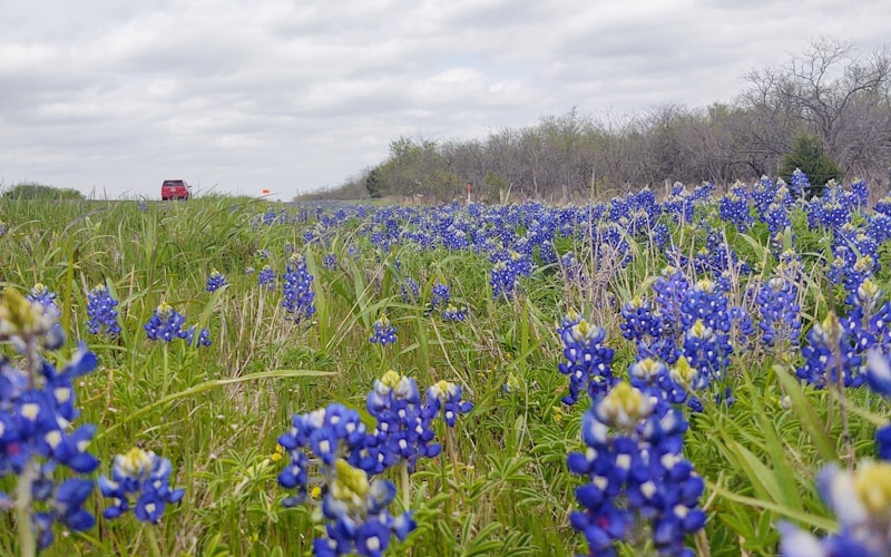 Personal injury lawyer in Hutto Texas