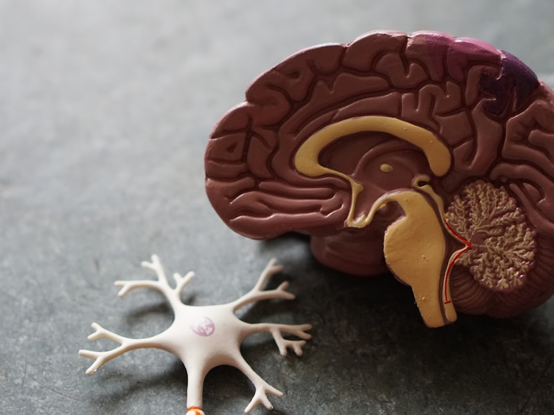 Traumatic Brain Injury